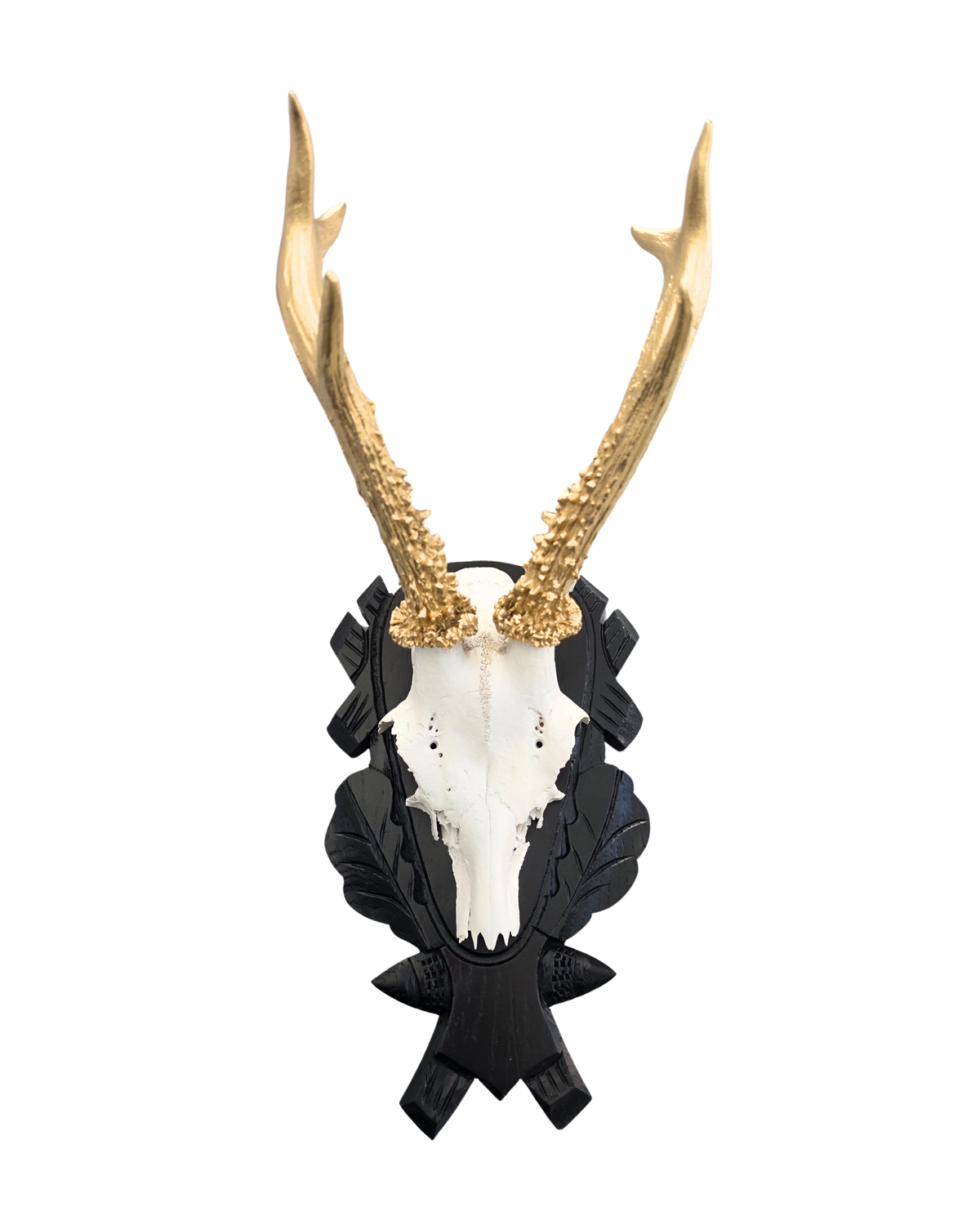 Natur Geweih Schwarz & Gold