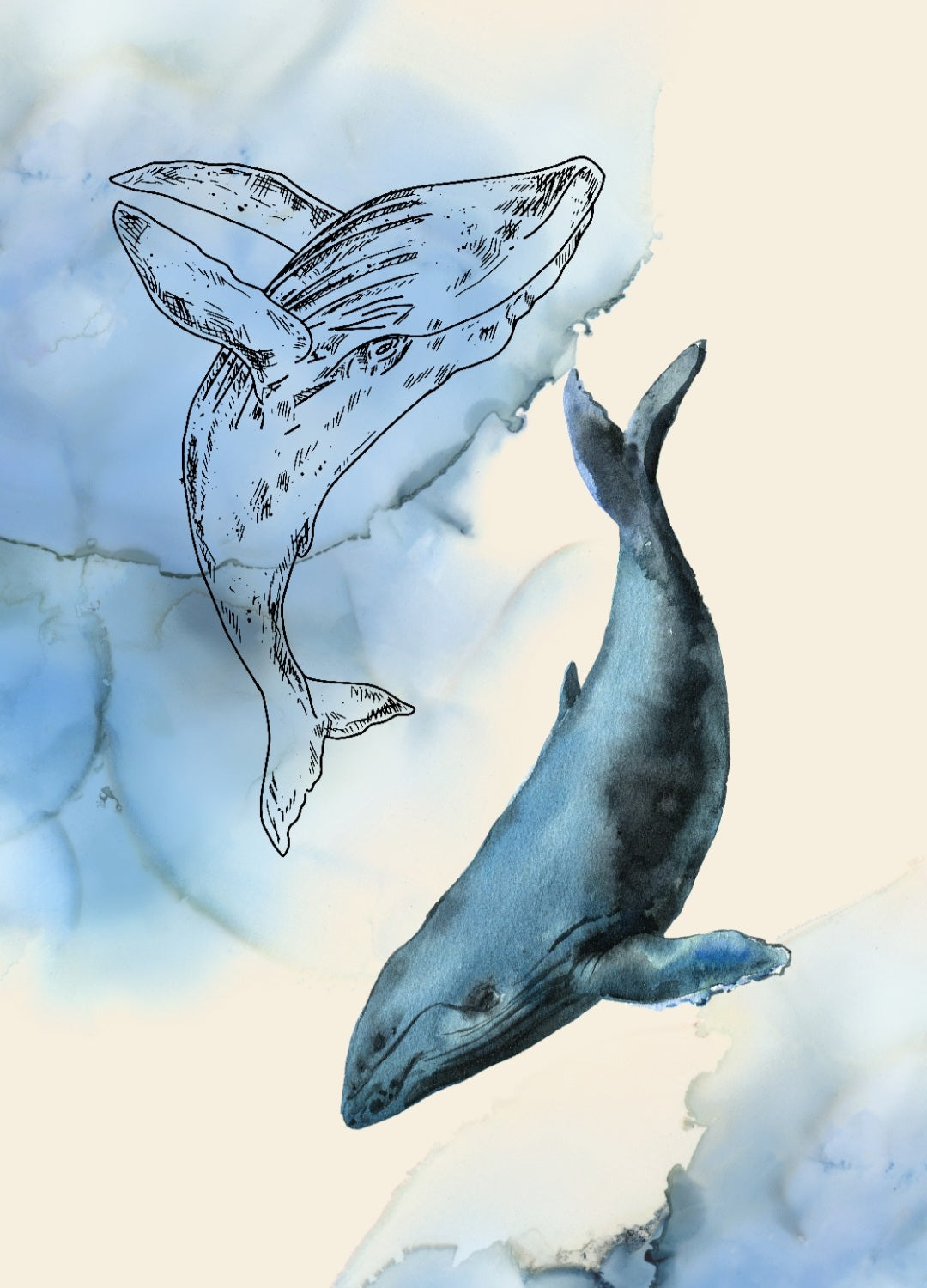 Print - "Whale"