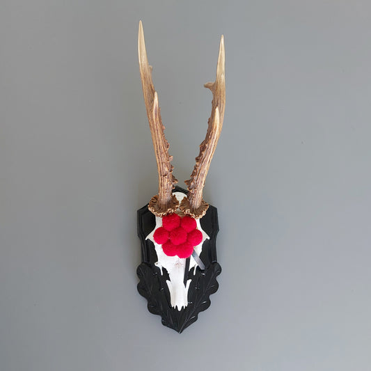 Natur Geweih "Bollenhut"