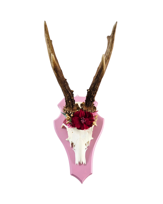 Natur Geweih Rosa mit Blumenkranz
