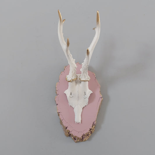 Natur Geweih "Rosa & Weiß"