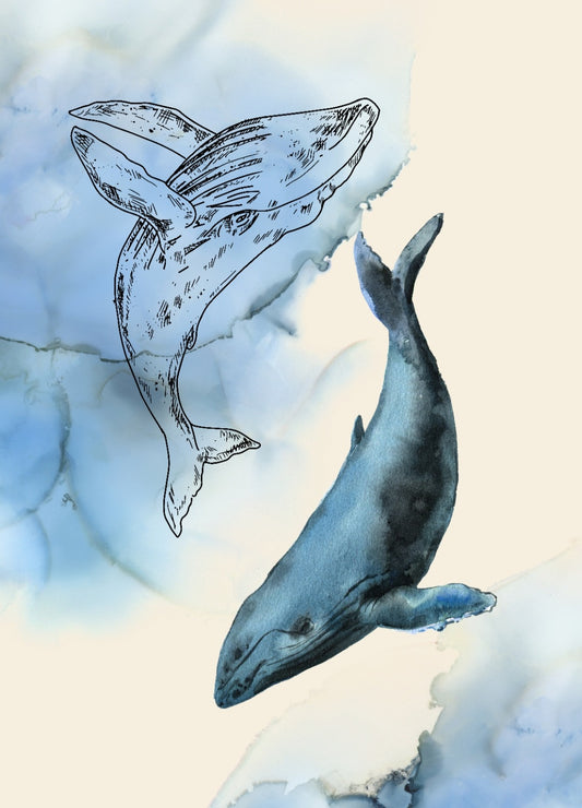 Print - "Whale"