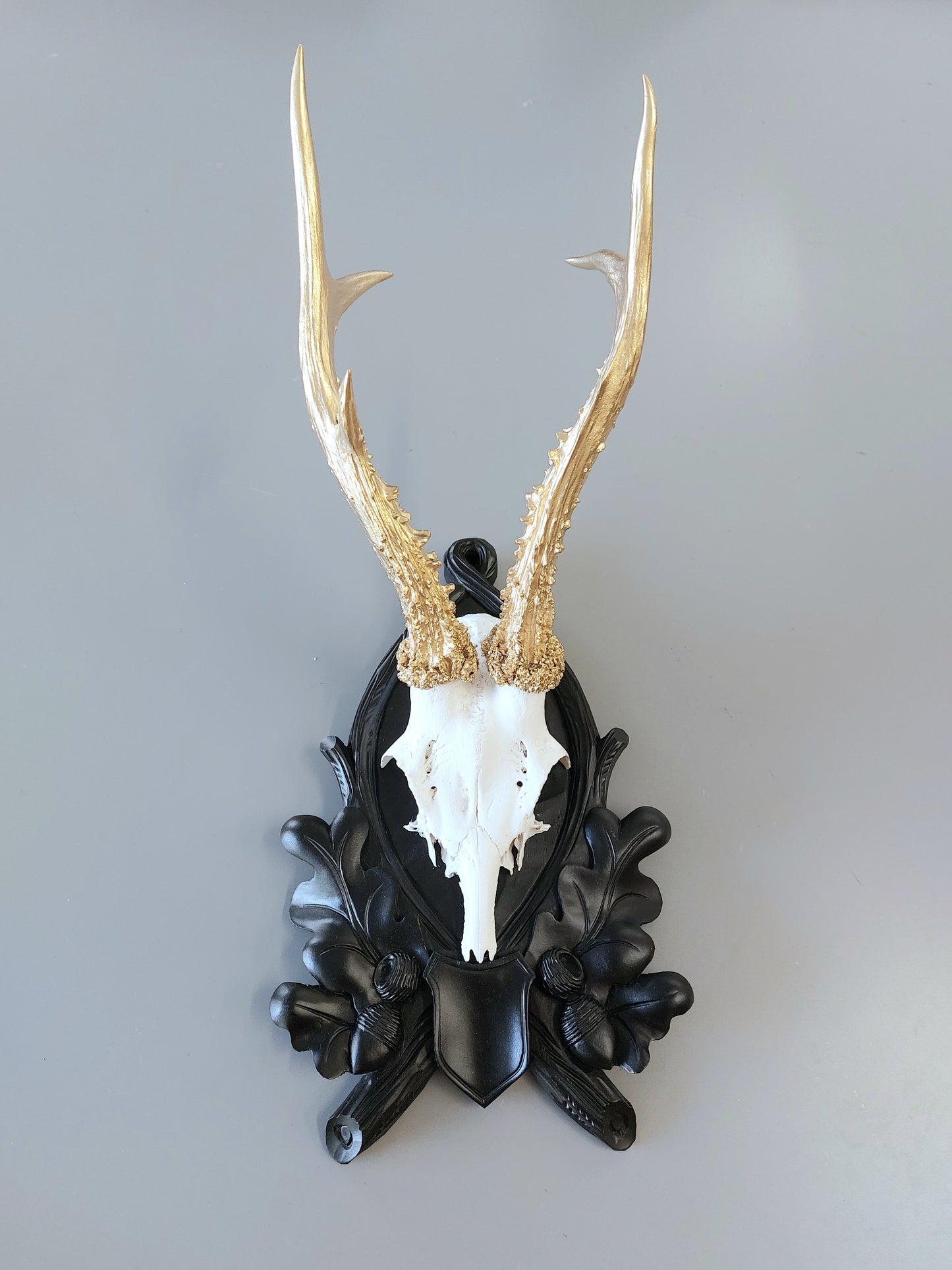 Natur Geweih "Bollenhut"